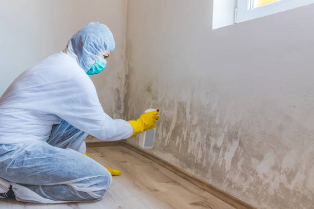 Mold Remediation specialist working in Greenlawn
