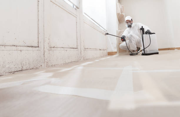 Black mold remediation team in Greenlawn